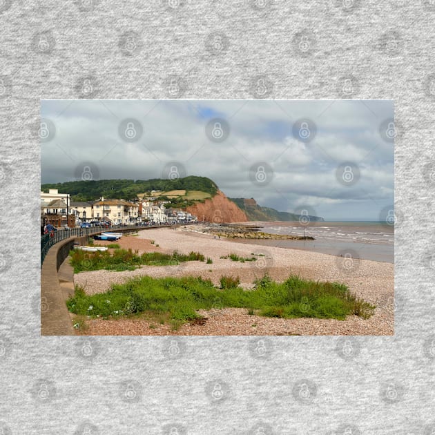 Sidmouth, Devon by Chris Petty